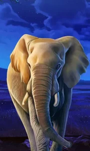African Elephant